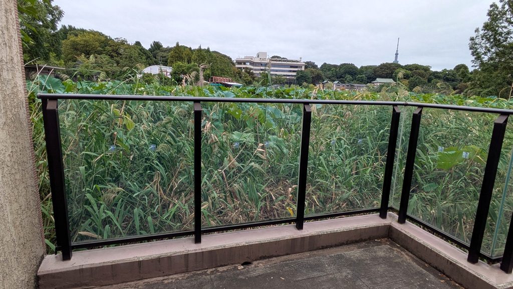 上野動物園西園に入り、不忍池の鵜の池を確認します。かつての流れがこの付近へつながっていたと考えられます。